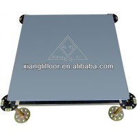 Manufacture Steel Encased Wood Core Raised Access Floor